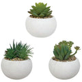 3 Plantes succulentes artificielles