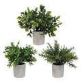 3 plantes artificielles romarin