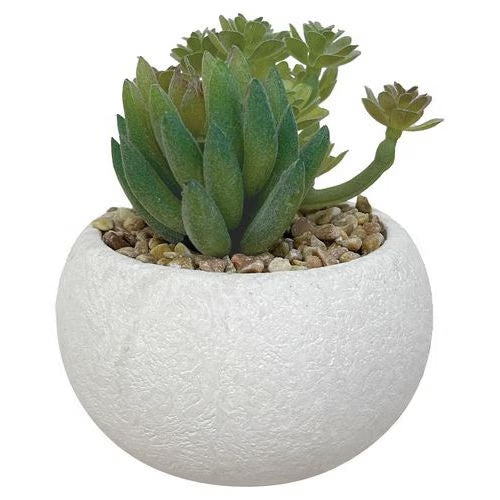 3 Plantes succulentes artificielles