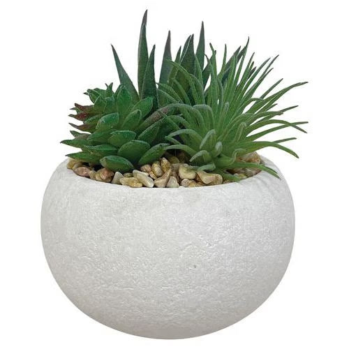3 Plantes succulentes artificielles