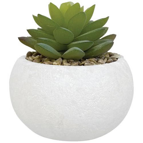 3 Plantes succulentes artificielles